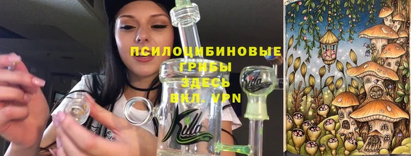 герыч Горняк