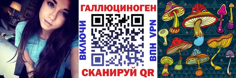 где можно купить   Энгельс  Галлюциногенные грибы GOLDEN TEACHER 