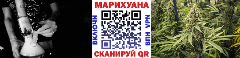 дарнет шоп  Энгельс  Канабис планчик 